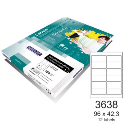 Rayfilm 110R0ECO03638A ετικέτες εκτύπωσης ορθογώνιες 96x42,3mm A4 100φ.