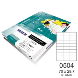 Rayfilm 110R0ECO0504A ετικέτες εκτύπωσης ορθογώνιες 70x29,7mm A4 100φ.