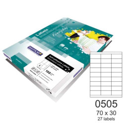 Rayfilm 110R0ECO0505A ετικέτες εκτύπωσης ορθογώνιες 70x30mm A4 100φ.