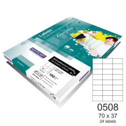 Rayfilm 110R0ECO0508A ετικέτες εκτύπωσης ορθογώνιες 70x37mm A4 100φ.