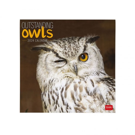 Legami CAL240011 ημερολόγιο 2024 τοίχου 30x29cm outstanding owls