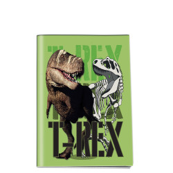 Graffiti Dinosaur 231003 τετράδιο καρφίτσα 17x25 50φ