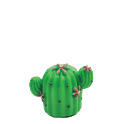 Legami Magic Kiss CLG0001 Lip Gloss χειλιών Cactus