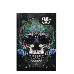 BMU 347-70400 τετράδιο ριγέ 17Χ25cm Glass skull