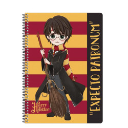 Graffiti 22405 τετράδιο σπιραλ 2θ. 21x29 Harry Potter