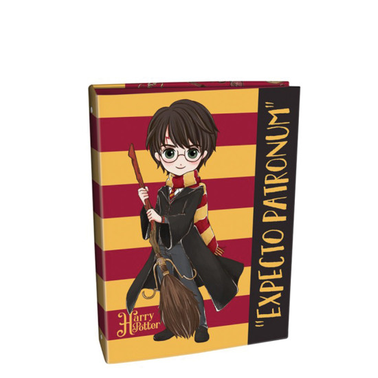 Graffiti 22409 κλασερ 17x25 2 κρίκοι 020 Harry Potter