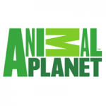 Animal Planet