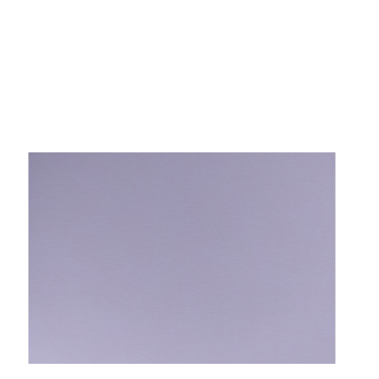 Fabriano Elle Erre χαρτόνι 50x70cm 220gr No2 Perla γκρι ανοιχτό